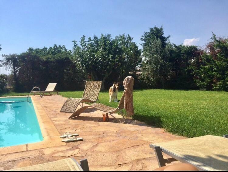 Relaxing Villa With Swimming Pool And Garden Agios Georgios  Exterior foto